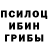 Галлюциногенные грибы мицелий 0x00746929